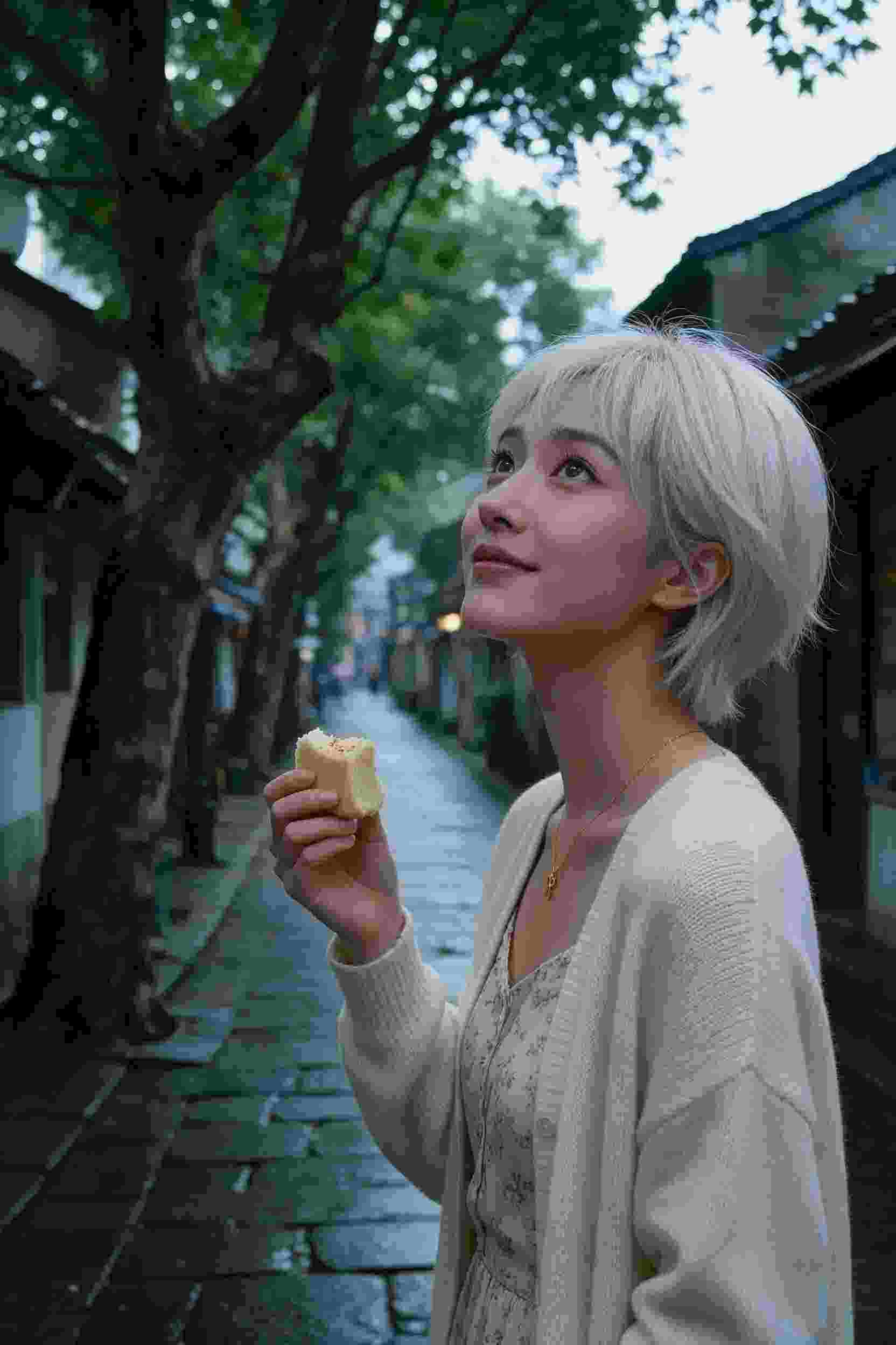 孤岛密码